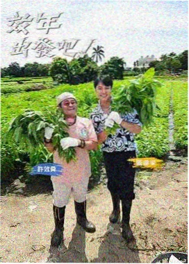蜜桃视频影视 慢综艺分类封面